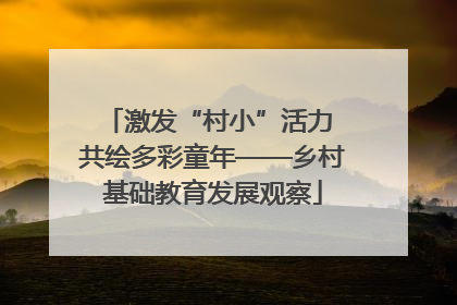 激发“村小”活力 共绘多彩童年——乡村基础教育发展观察