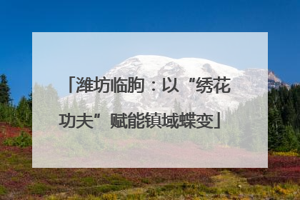 潍坊临朐：以“绣花功夫”赋能镇域蝶变