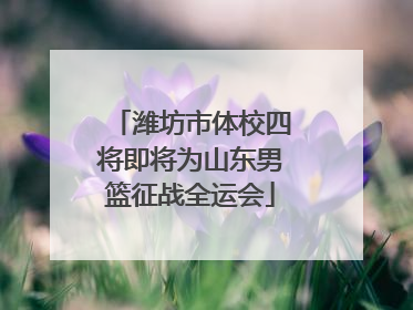 潍坊市体校四将即将为山东男篮征战全运会