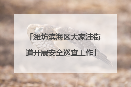 潍坊滨海区大家洼街道开展安全巡查工作