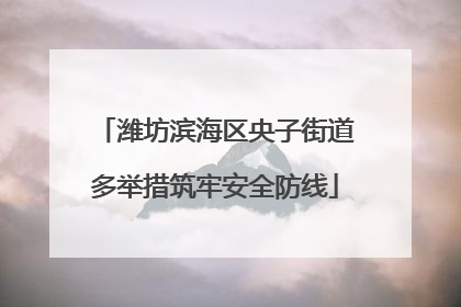 潍坊滨海区央子街道多举措筑牢安全防线
