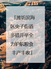 潍坊滨海区央子街道多措并举全力护航粮食丰产丰收