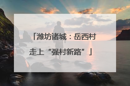 潍坊诸城：岳西村走上“强村新路”