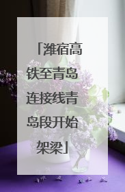潍宿高铁至青岛连接线青岛段开始架梁