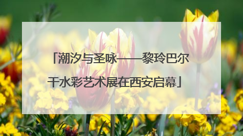 潮汐与圣咏——黎玲巴尔干水彩艺术展在西安启幕