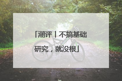 潮评丨不搞基础研究，就没根