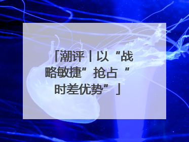 潮评丨以“战略敏捷”抢占“时差优势”