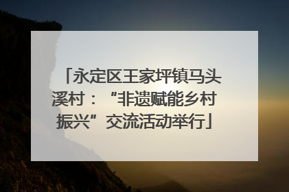 永定区王家坪镇马头溪村：“非遗赋能乡村振兴”交流活动举行