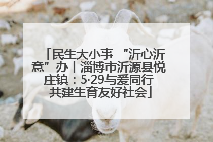 民生大小事 “沂心沂意”办丨淄博市沂源县悦庄镇：5·29与爱同行 共建生育友好社会