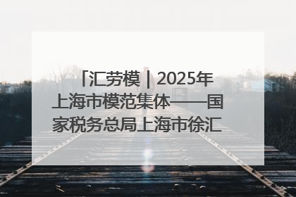 汇劳模｜2025年上海市模范集体——国家税务总局上海市徐汇区税务局第一税务所