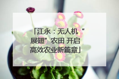 江永：无人机“展翅”农田 开启高效农业新篇章