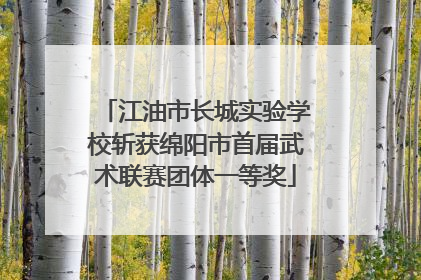 江油市长城实验学校斩获绵阳市首届武术联赛团体一等奖