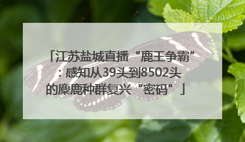 江苏盐城直播“鹿王争霸”：感知从39头到8502头的麋鹿种群复兴“密码”