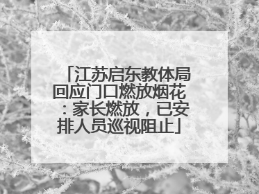 江苏启东教体局回应门口燃放烟花：家长燃放，已安排人员巡视阻止