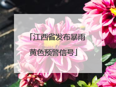 江西省发布暴雨黄色预警信号