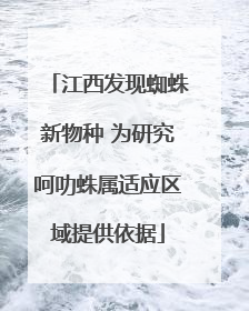 江西发现蜘蛛新物种 为研究呵叻蛛属适应区域提供依据