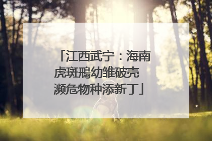 江西武宁：海南虎斑鳽幼雏破壳 濒危物种添新丁