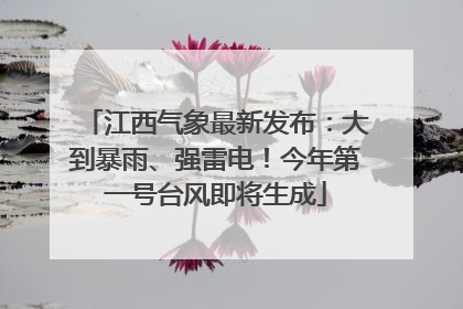 江西气象最新发布：大到暴雨、强雷电！今年第一号台风即将生成