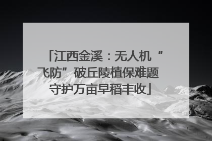江西金溪：无人机“飞防”破丘陵植保难题 守护万亩早稻丰收