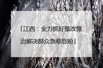 江西：全力抓好整改整治解决群众急难愁盼