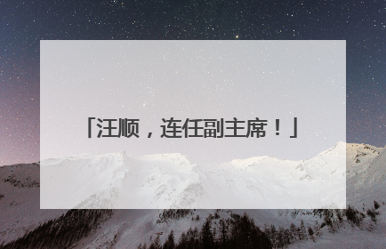 汪顺，连任副主席！