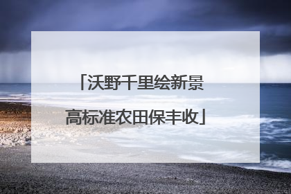 沃野千里绘新景 高标准农田保丰收