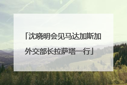 沈晓明会见马达加斯加外交部长拉萨塔一行