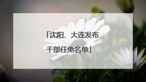 沈阳、大连发布干部任免名单