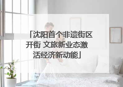沈阳首个非遗街区开街 文旅新业态激活经济新动能