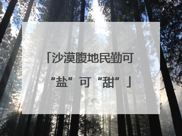 沙漠腹地民勤可“盐”可“甜”