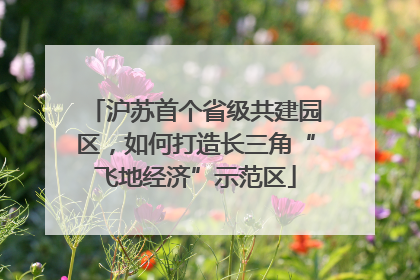 沪苏首个省级共建园区，如何打造长三角“飞地经济”示范区