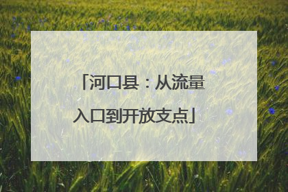 河口县：从流量入口到开放支点