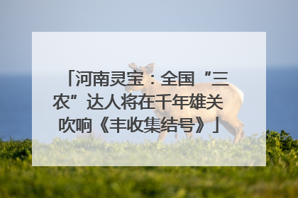 河南灵宝：全国“三农”达人将在千年雄关吹响《丰收集结号》