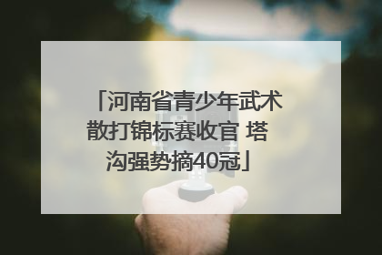 河南省青少年武术散打锦标赛收官 塔沟强势摘40冠