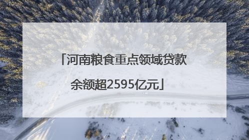 河南粮食重点领域贷款余额超2595亿元