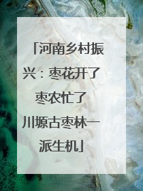 河南乡村振兴：枣花开了 枣农忙了 川塬古枣林一派生机