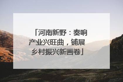 河南新野：奏响产业兴旺曲，铺展乡村振兴新画卷