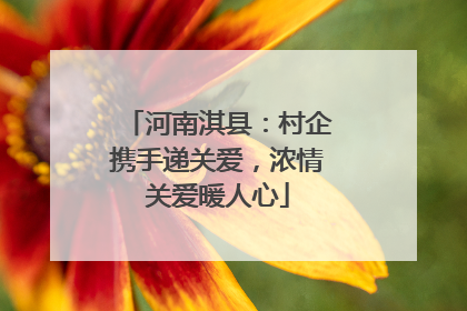 河南淇县：村企携手递关爱，浓情关爱暖人心