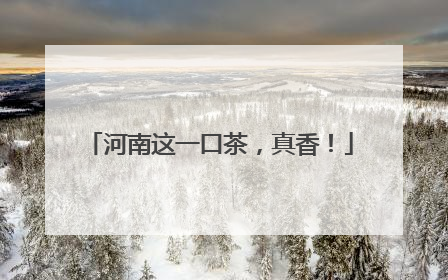 河南这一口茶，真香！
