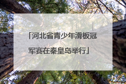 河北省青少年滑板冠军赛在秦皇岛举行