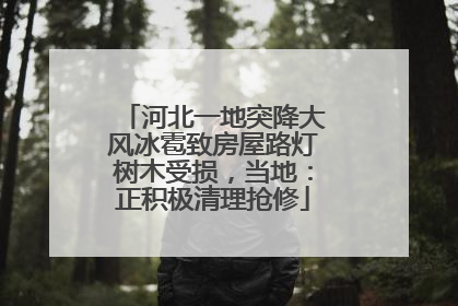 河北一地突降大风冰雹致房屋路灯树木受损，当地：正积极清理抢修