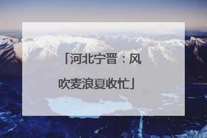 河北宁晋：风吹麦浪夏收忙