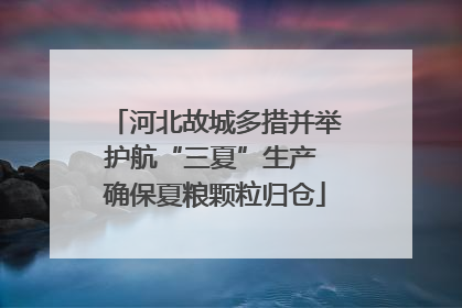 河北故城多措并举护航“三夏”生产 确保夏粮颗粒归仓