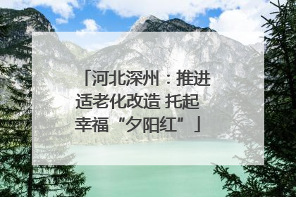 河北深州：推进适老化改造 托起幸福“夕阳红”
