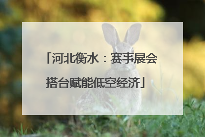 河北衡水：赛事展会搭台赋能低空经济