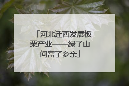 河北迁西发展板栗产业——绿了山间富了乡亲