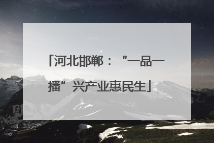 河北邯郸：“一品一播”兴产业惠民生