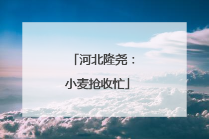 河北隆尧：小麦抢收忙