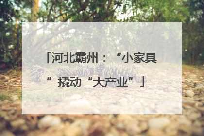 河北霸州：“小家具”撬动“大产业”