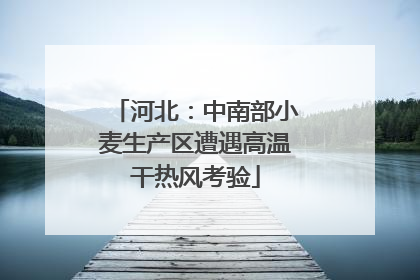 河北：中南部小麦生产区遭遇高温干热风考验